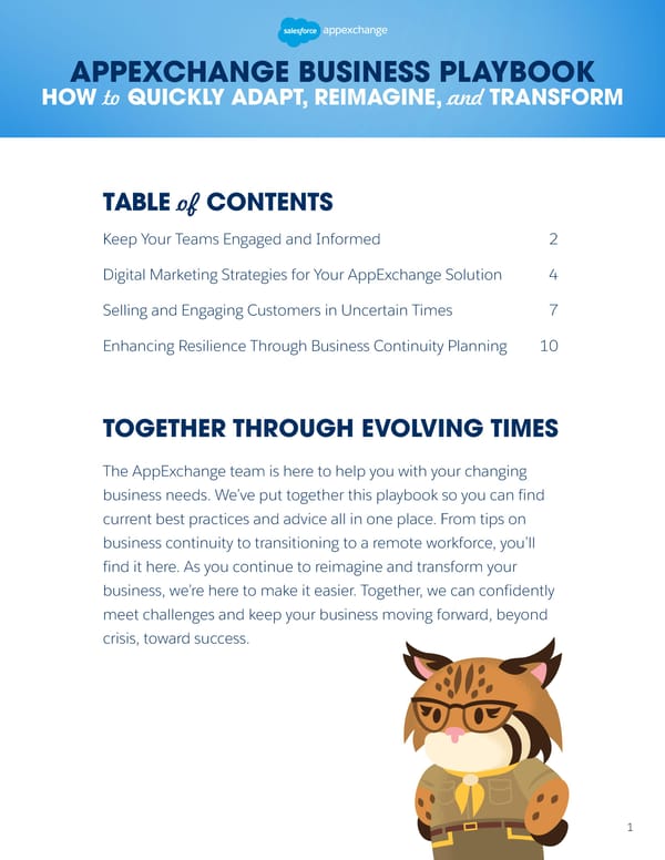 AppExchange Business Playbook - Page 2